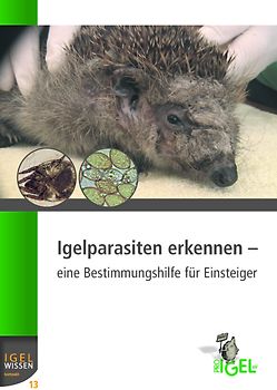 Igelparasiten erkennen