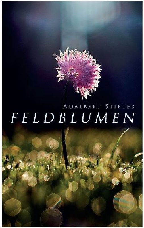 Feldblumen