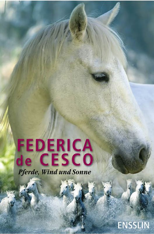 Pferde, Wind und Sonne