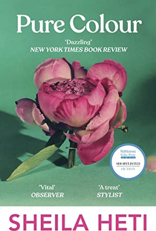 Pure Colour: the new novel from the author of Motherhood and How Should A Person Be?