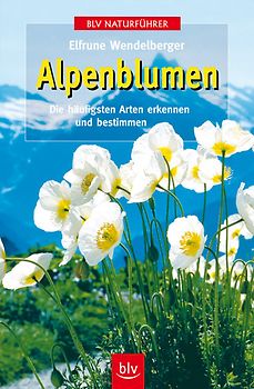 Alpenblumen
