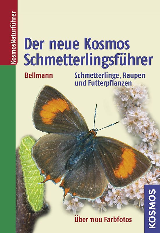 Der neue Kosmos Schmetterlingsführer