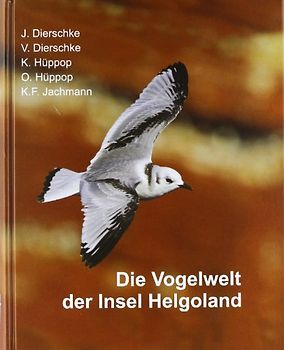 Die Vogelwelt der Insel Helgoland