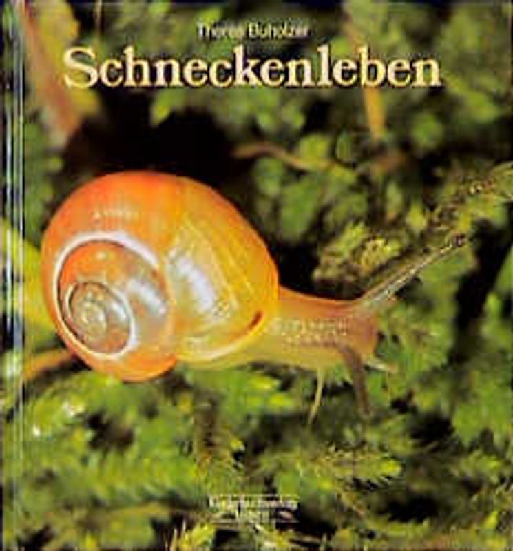 Schneckenleben