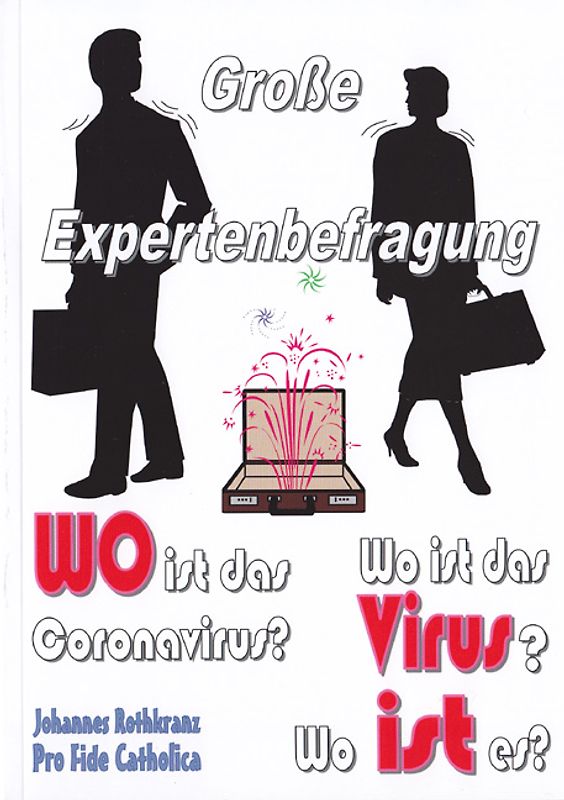 Große Expertenbefragung