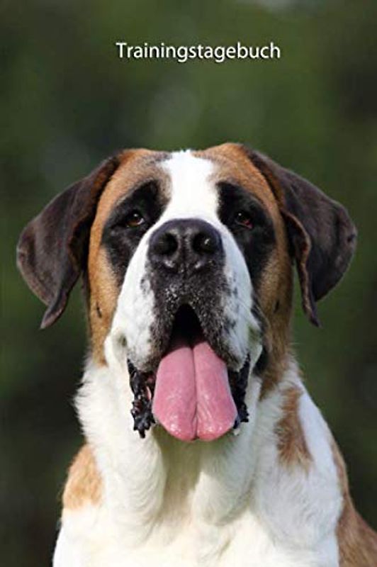 Trainingstagebuch: für Deinen Bernhardiner - mit Vorlagen schnell und einfach das Training dokumentieren (Bernhardiner - alle Bücher: ... BARF Planer und Welpentagebuch, Band 1)