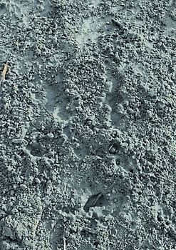 Eisenberger VS Eisenberger