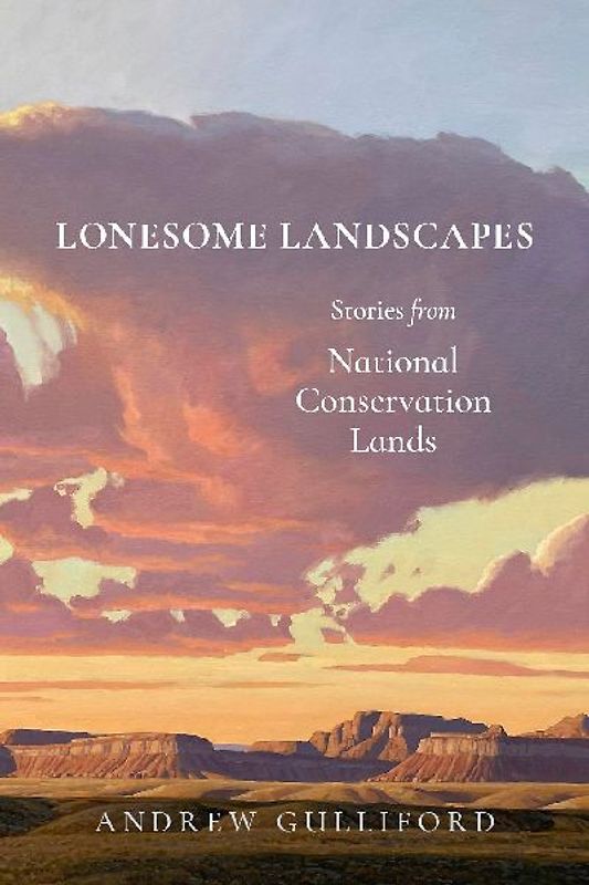 Lonesome Landscapes