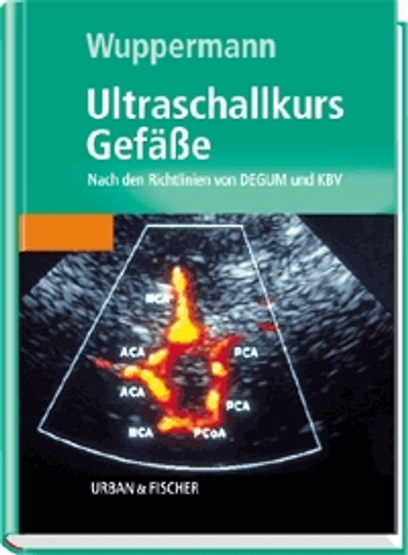 Ultraschallkurs Gefässe