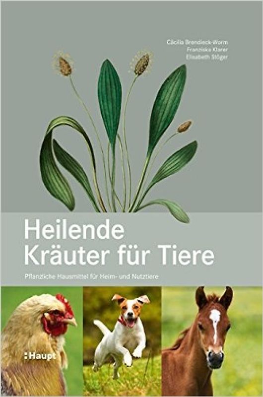 Heilende Kräuter für Tiere