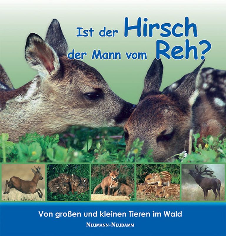 Ist der Hirsch der Mann vom Reh?