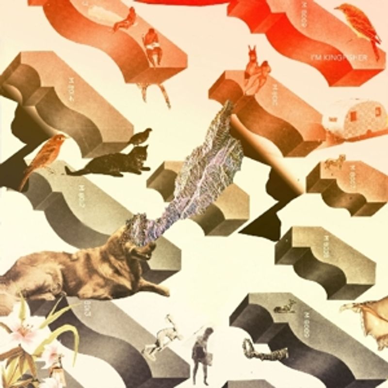 Im Kingfisher - Transit