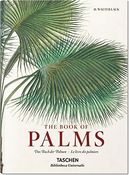 Martius. The Book of Palms