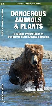 Dangerous Animals & Plants