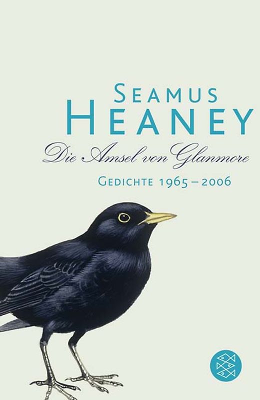 Die Amsel von Glanmore
