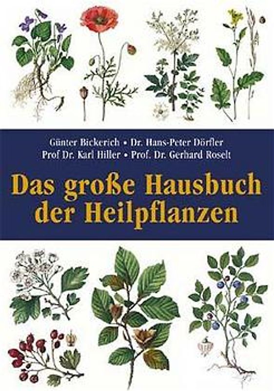 Das grosse Hausbuch der Heilpflanzen