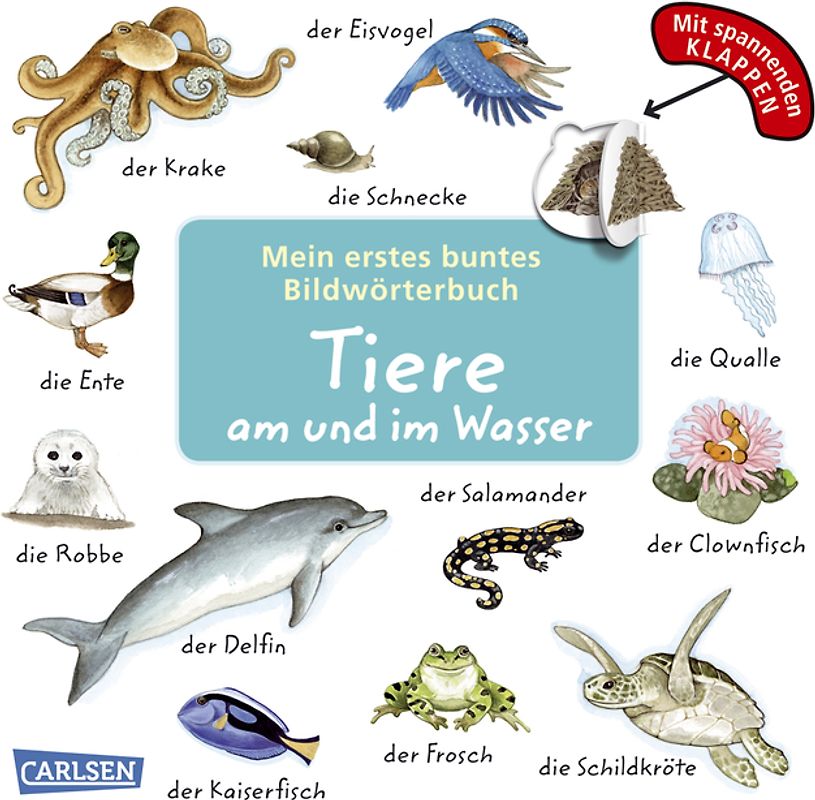 Mein erstes buntes Bildwörterbuch: Tiere am und im Wasser (AT)