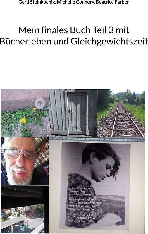 Mein finales Buch Teil 3 mit Bücherleben und Gleichgewichtszeit