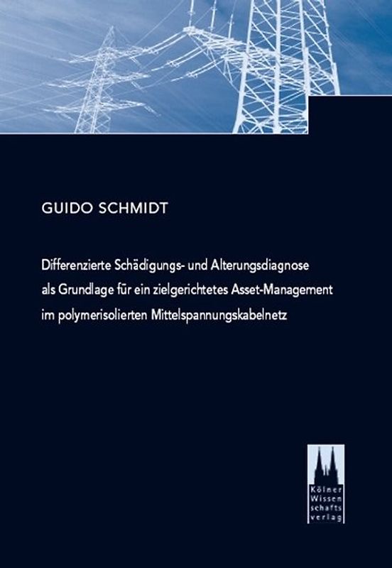 Differenzierte Schädigungs- und Alterungsdiagnose als Grundlage für ein zielgerichtetes Asset-Management im polymerisolierten Mittelspannungskabelnetz