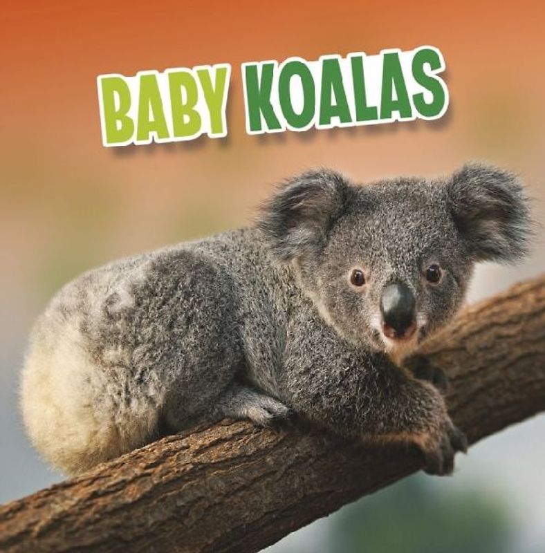 Baby Koalas