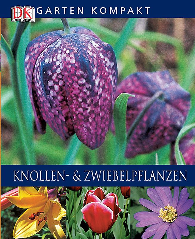 Knollen- und Zwiebelpflanzen