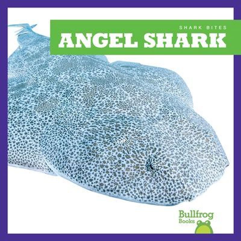 Angel Shark
