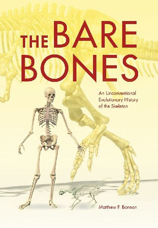 The Bare Bones