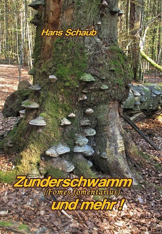 Zunderschwamm und mehr