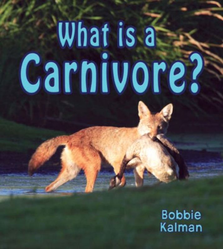 What is a Carnivore? (Big Science Ideas)