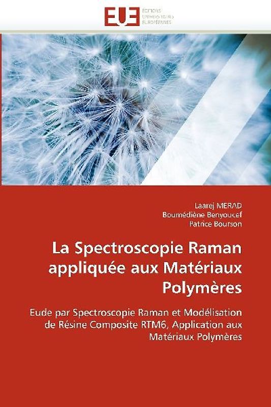 La Spectroscopie Raman Appliquée Aux Matériaux Polymères