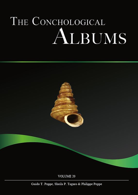 The Conchological Albums - Terrestrial Molluscs, Volume 20