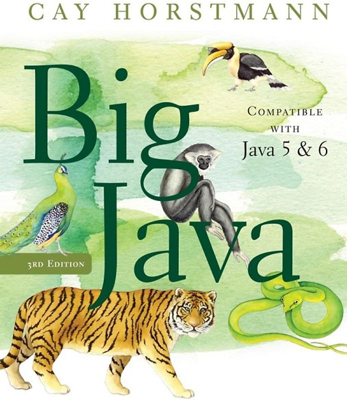Big Java