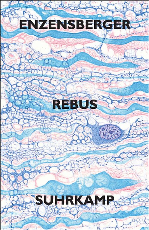 Rebus