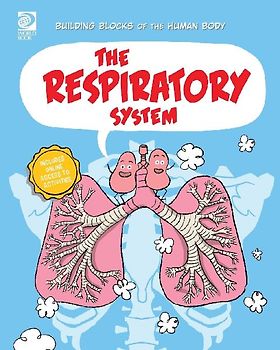 The Respiratory System
