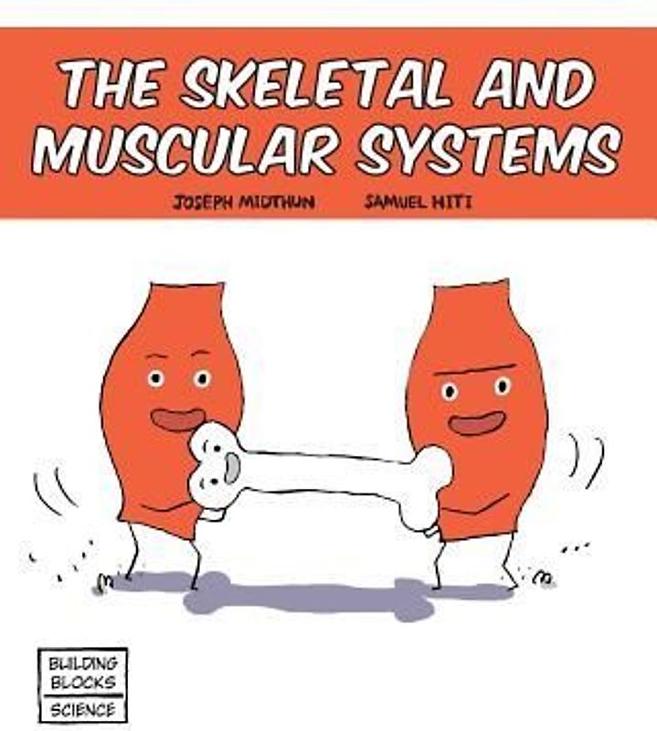 Skeletal and Muscular Systems