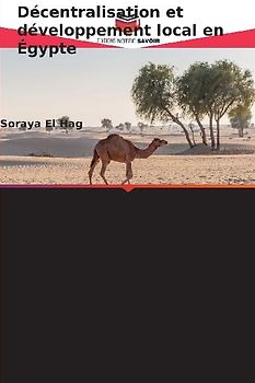 Décentralisation et développement local en Égypte