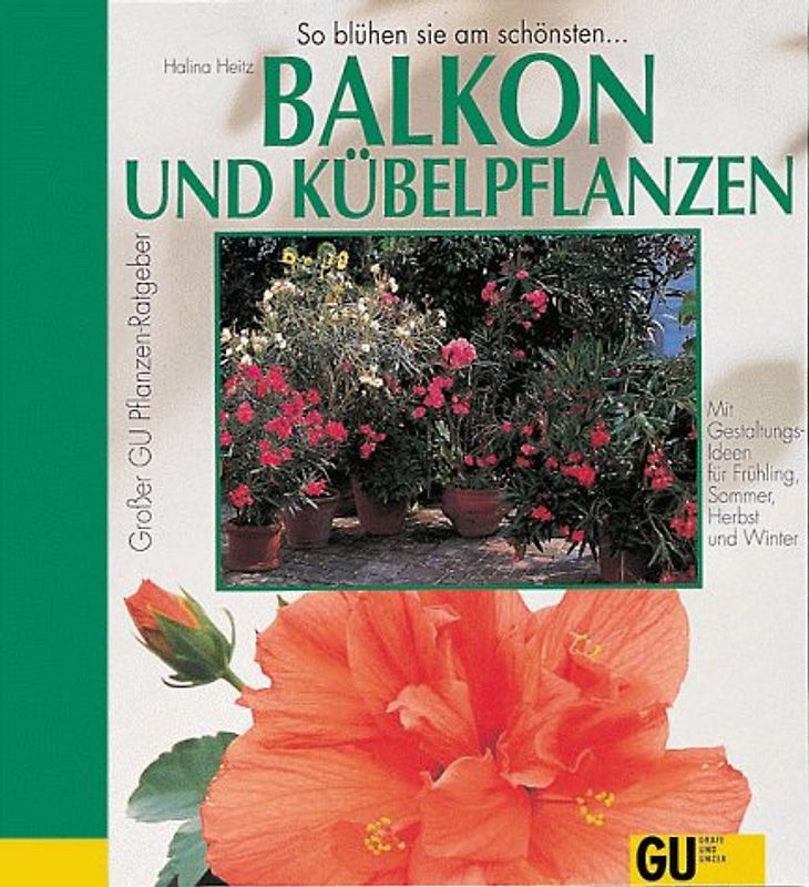 So grünen und blühen sie am schönsten... Balkon- und Kübelpflanzen