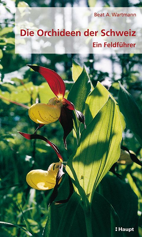 Die Orchideen der Schweiz