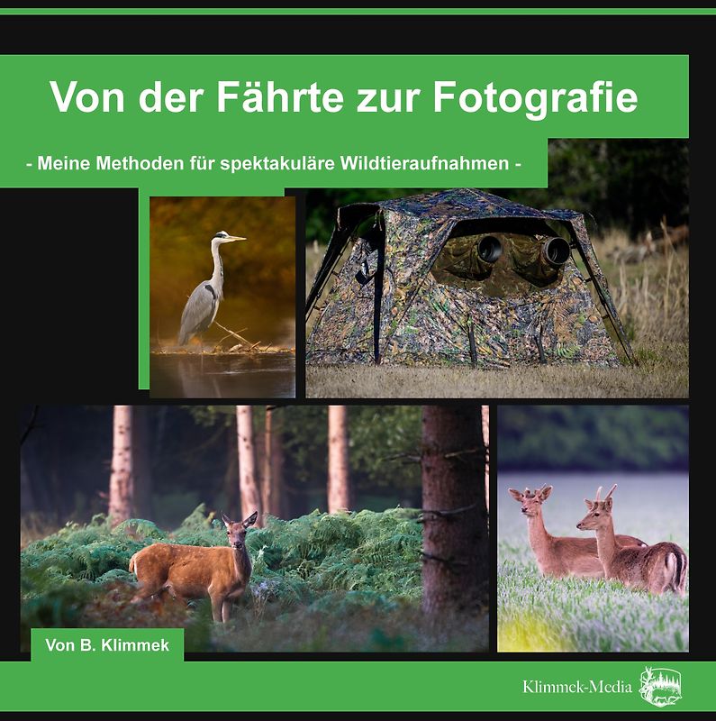 Von der Fährte zur Fotografie