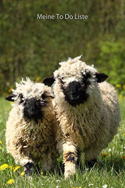 Meine TO DO Liste: Walliser Schwarznasenschafe - 120 Seiten mit Vorlagen zum ausfüllen Softcover (TO DO Liste - viele weitere Cover mit diversen Tieren, Band 26)