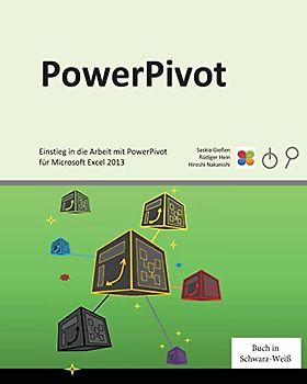 PowerPivot: Einstieg in die Arbeit mit PowerPivot für Microsoft Excel 2013