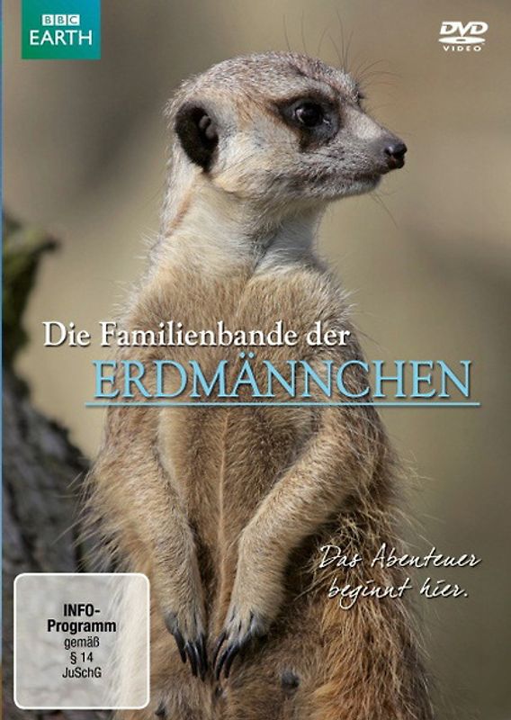 Die Familienbande der Erdmännchen DVD