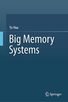 Big Memory Systems