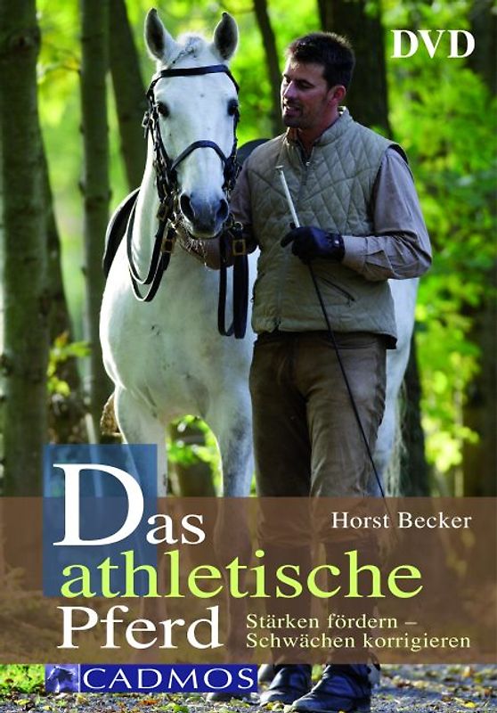 Das athletische Pferd