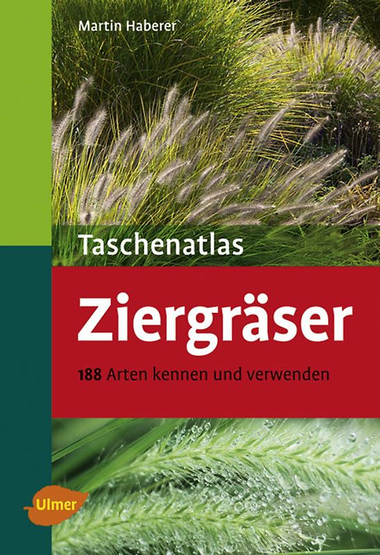 Taschenatlas Ziergräser