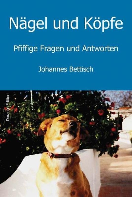 Nägel und Köpfe. Pfiffige Fragen und Antworten