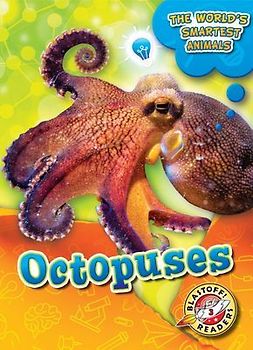 Octopuses