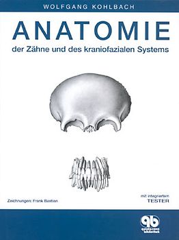 Anatomie der Zähne und des kraniofazialen Systems