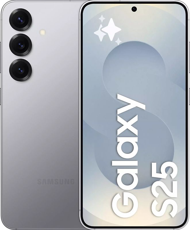 Samsung Galaxy S25 Dual SIM 128 Go gris