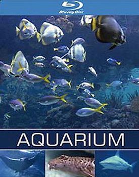 Aquarium Blu-ray Disc